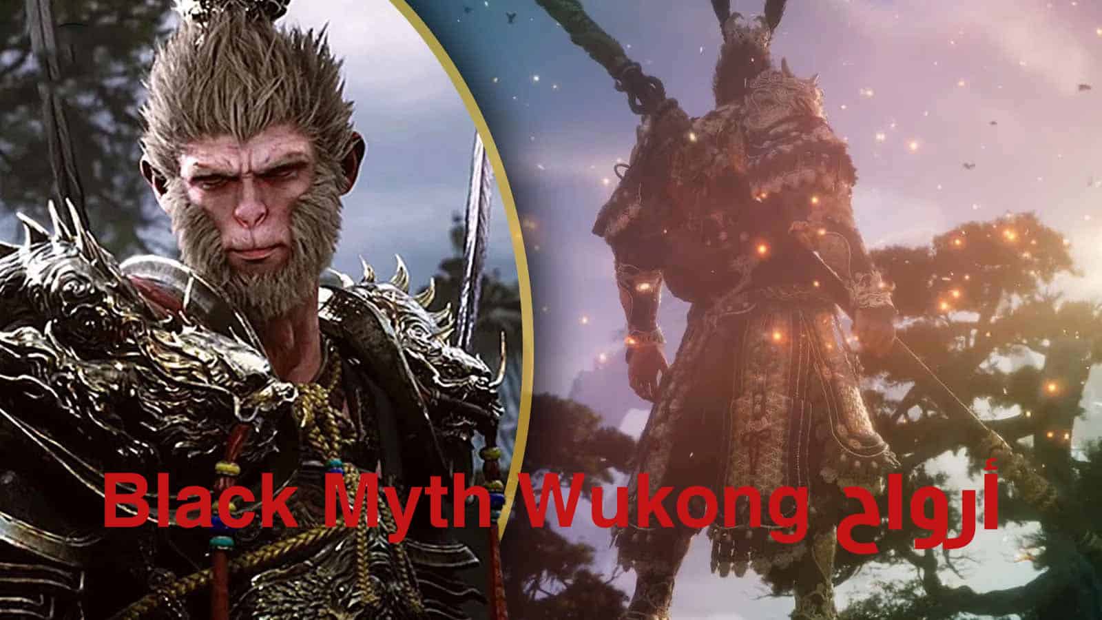 أرواح Black Myth Wukongأرواح Black Myth Wukong