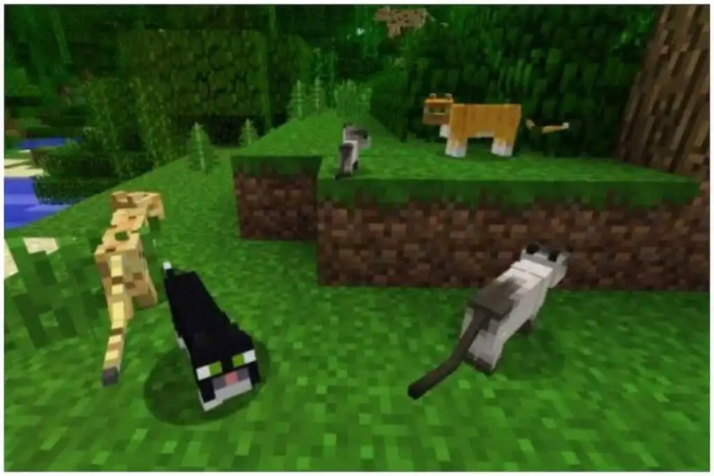 شخصية Ocelots and cats