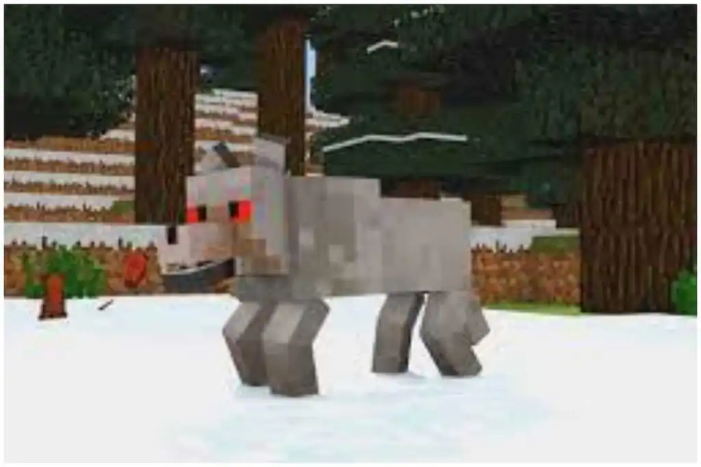 شخصية Wolf