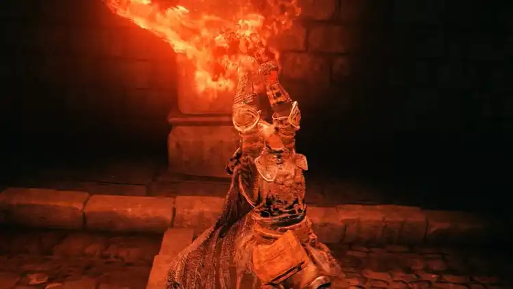 بيلد بالادين التجديفي Blasphemous Paladin
