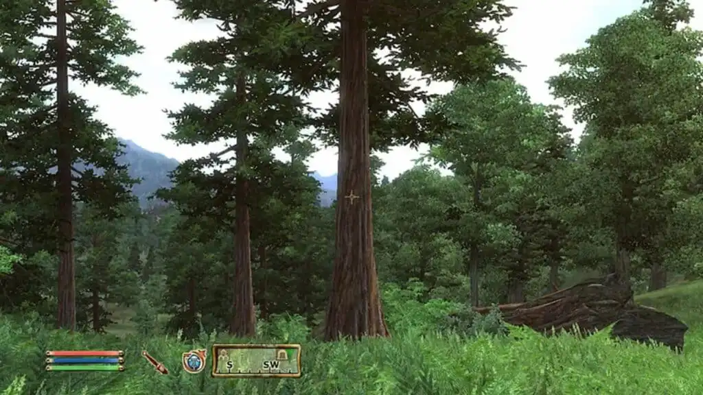 5 تحسينات نريد رؤيتها في The Elder Scrolls 4 Oblivion Remake