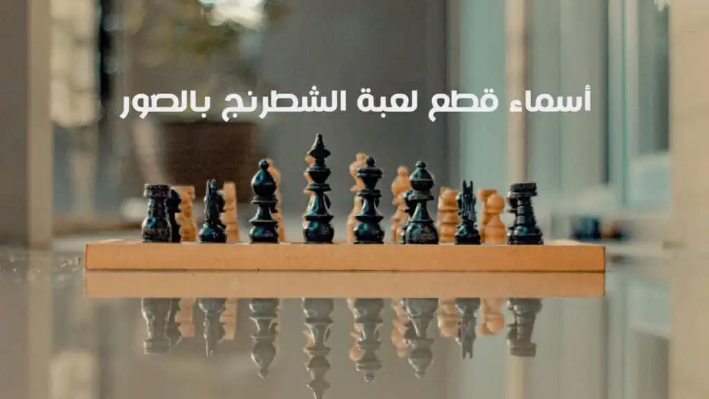 أسماء قطع لعبة الشطرنج بالصور والعربي والانجليزي