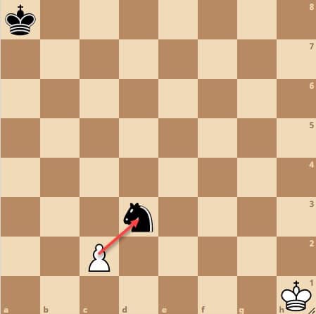 قطع البيادق او الجنود The Pawns