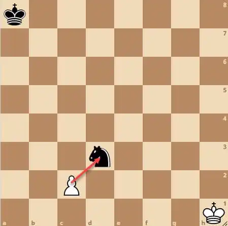 قطع البيادق او الجنود The Pawns