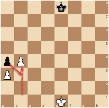 قطع البيادق او الجنود The Pawns