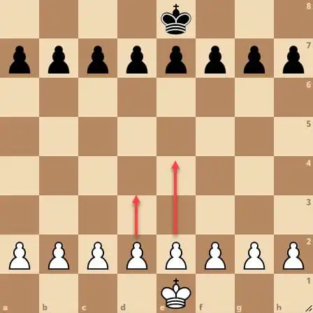 قطع البيادق او الجنود The Pawns