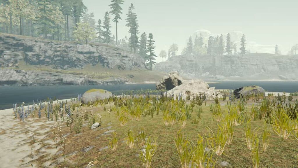 أفضل المواقع الأساسية في The Forest