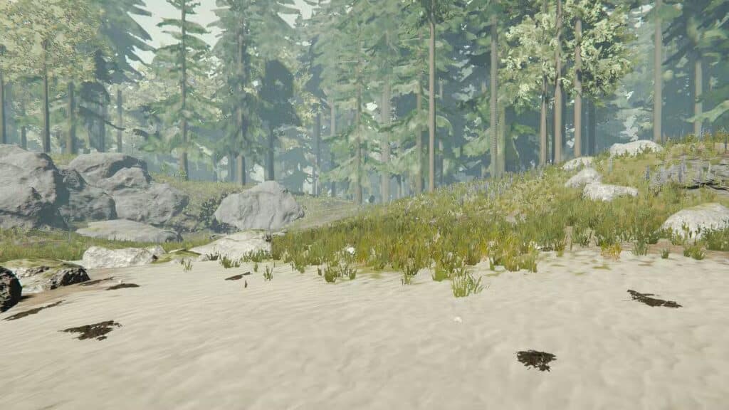 أفضل المواقع الأساسية في The Forest