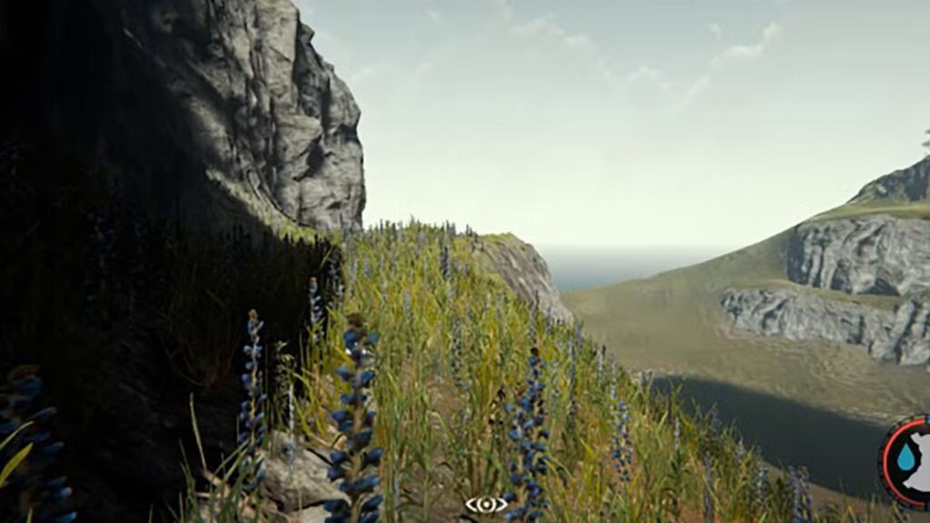 أفضل المواقع الأساسية في The Forest