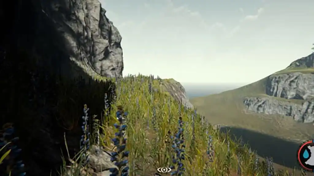 أفضل المواقع الأساسية في The Forest