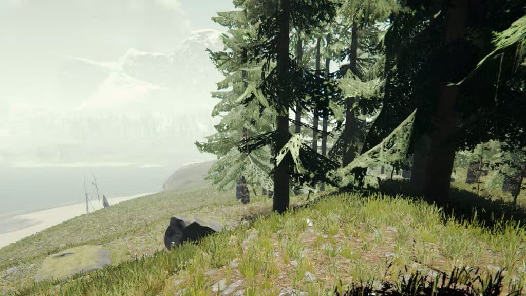 أفضل المواقع الأساسية في The Forest