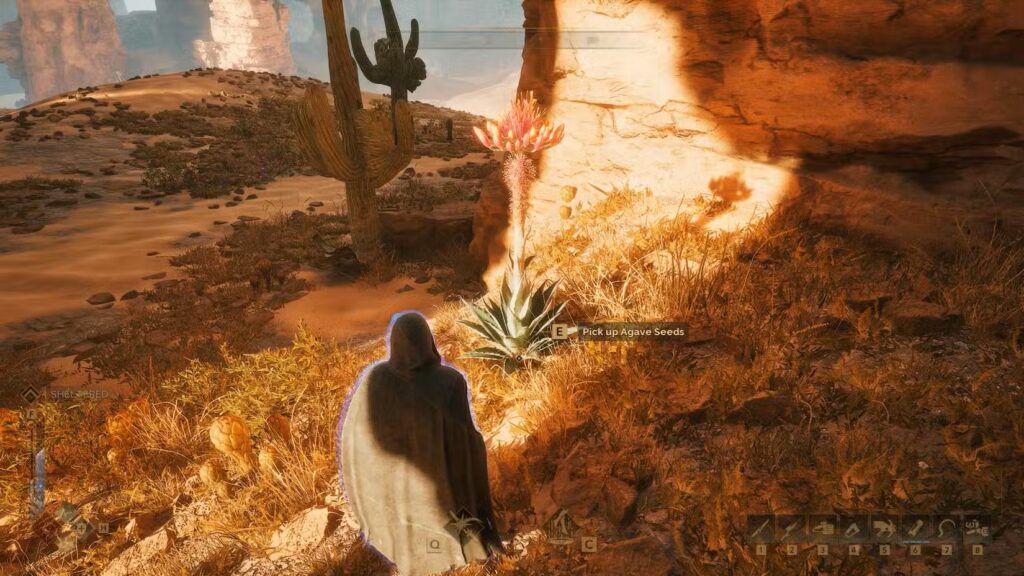 أين يمكن الحصول على بذور الصبار في Dune Awakening