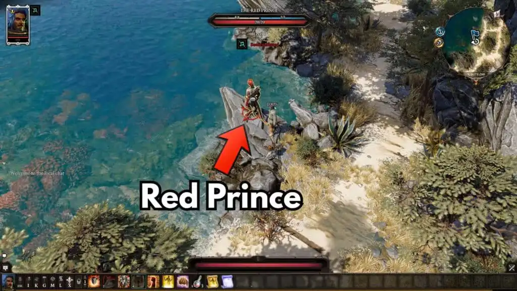 أين تجد جميع الرفاق في لعبة Divinity Original Sin 2