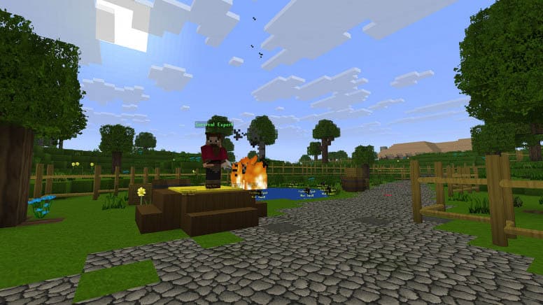قائمة أفضل سيرفرات Minecraft في 2026