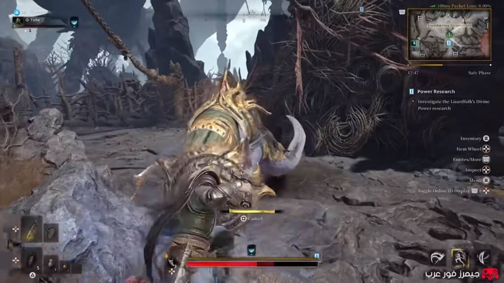 عالم لعبة Mistfall Hunter