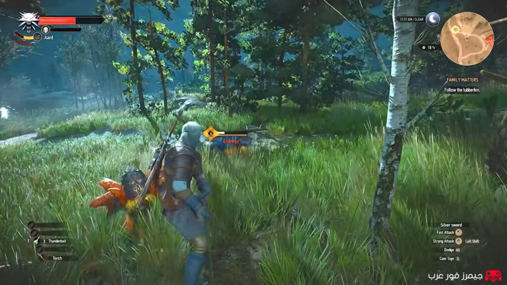 أسلوب اللعبة لعبة The Witcher 3 Remastered