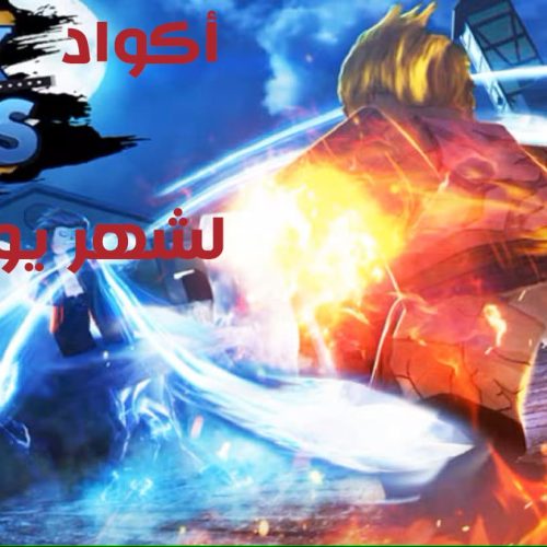 أكواد بلوكس فروتس لشهر يونيو 2025