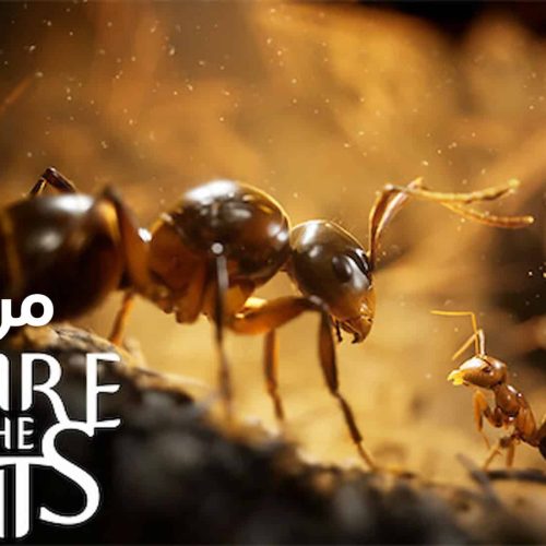 تقييم ومراجعة لعبة Empire of the Ants